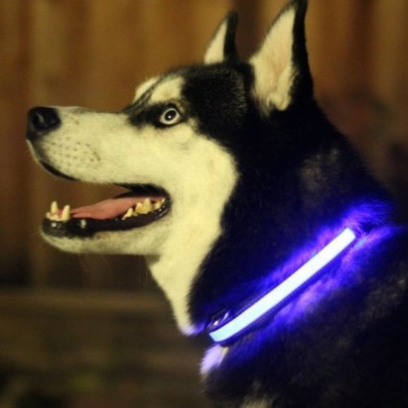 HALO BELT Other - 🏆Host Pick🏆 (OFFERS WELCOME) HALO Dog Collar